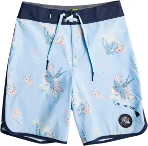 Quiksilver Boys (8-16) Surfsilk 17" Boardshort